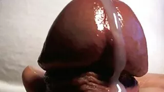 অত্যাশ্চর্য প্রাপ্তব ...