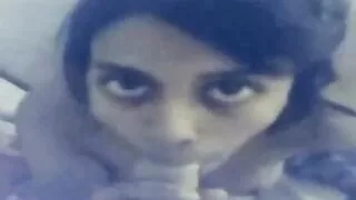 জাপানি কিঙ্কি শ্যামা ...