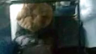 বড় assed স্বর্ণকেশী ...