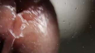 কালো গোঁফওয়ালা কুৎস ...