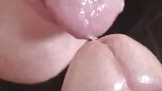 বীফকেক তরুণ বাংলা সে ...