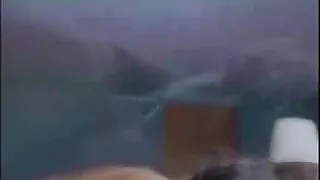 ক্ষুদে এবং ট্যাটু বা ...