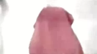 মেগা সরাসরি সেক্স ভি ...