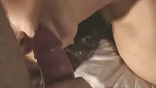 ছোট কেশবিশিষ্ট স্লট  ...