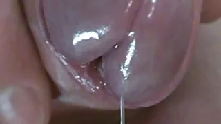 চশমা মধ্যে গোলাপী কে ...
