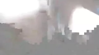 পাগল টিএস মানুষ কালো ...