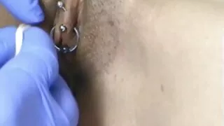 বিস্তৃত গাধা বিচি সে ...