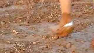 মুখরোচক স্বর্ণকেশী ম ...